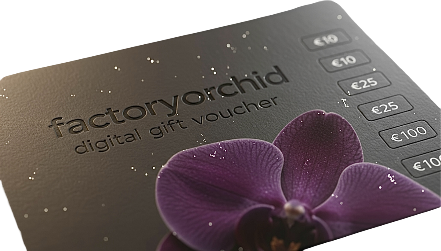 Gift Voucher