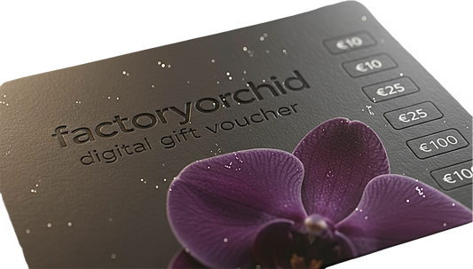 Gift Voucher