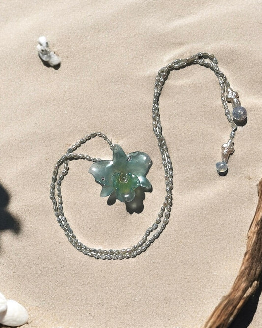 Blue Coral Bloom