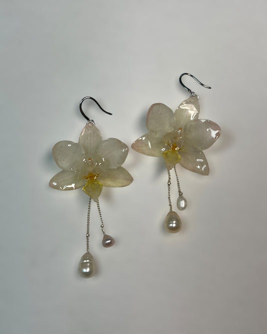 Dewstar - Earrings