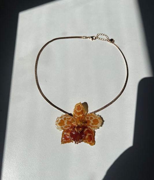 Sunset Petal