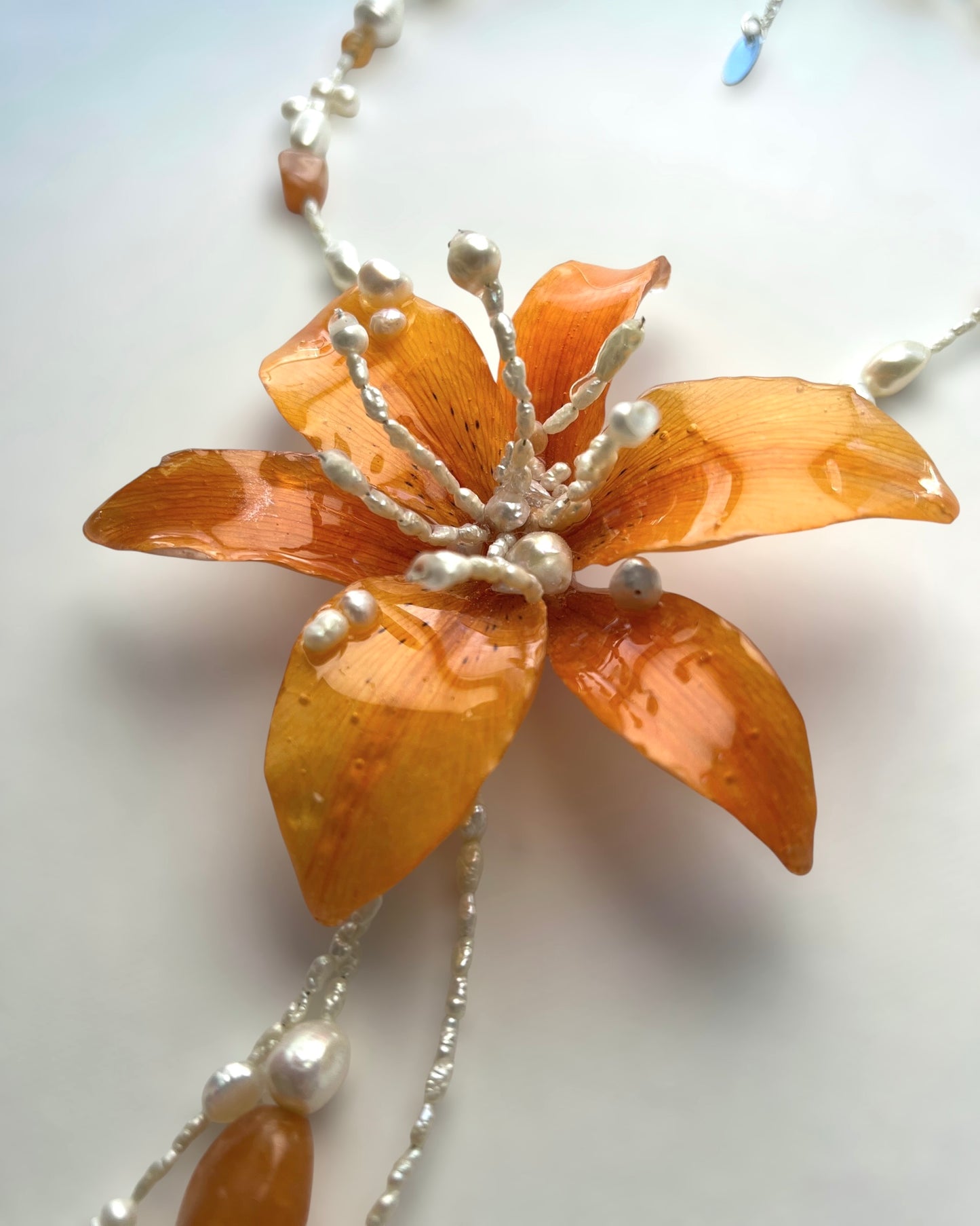 Pumpkin Lily
