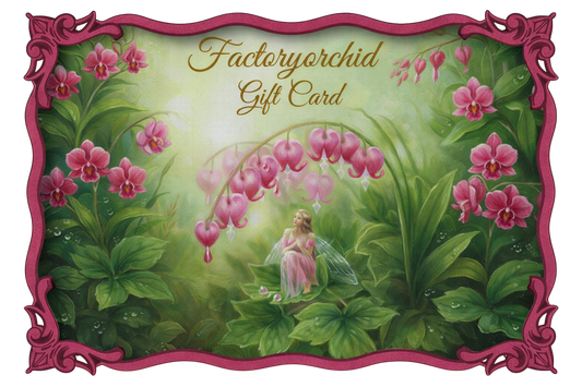 𝙶𝚒𝚏𝚝 𝙲𝚊𝚛𝚍