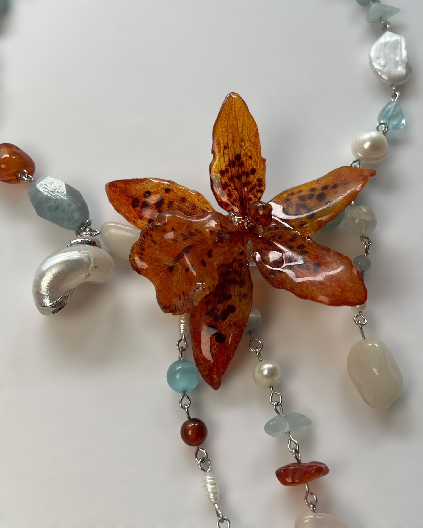 Seaform Coral