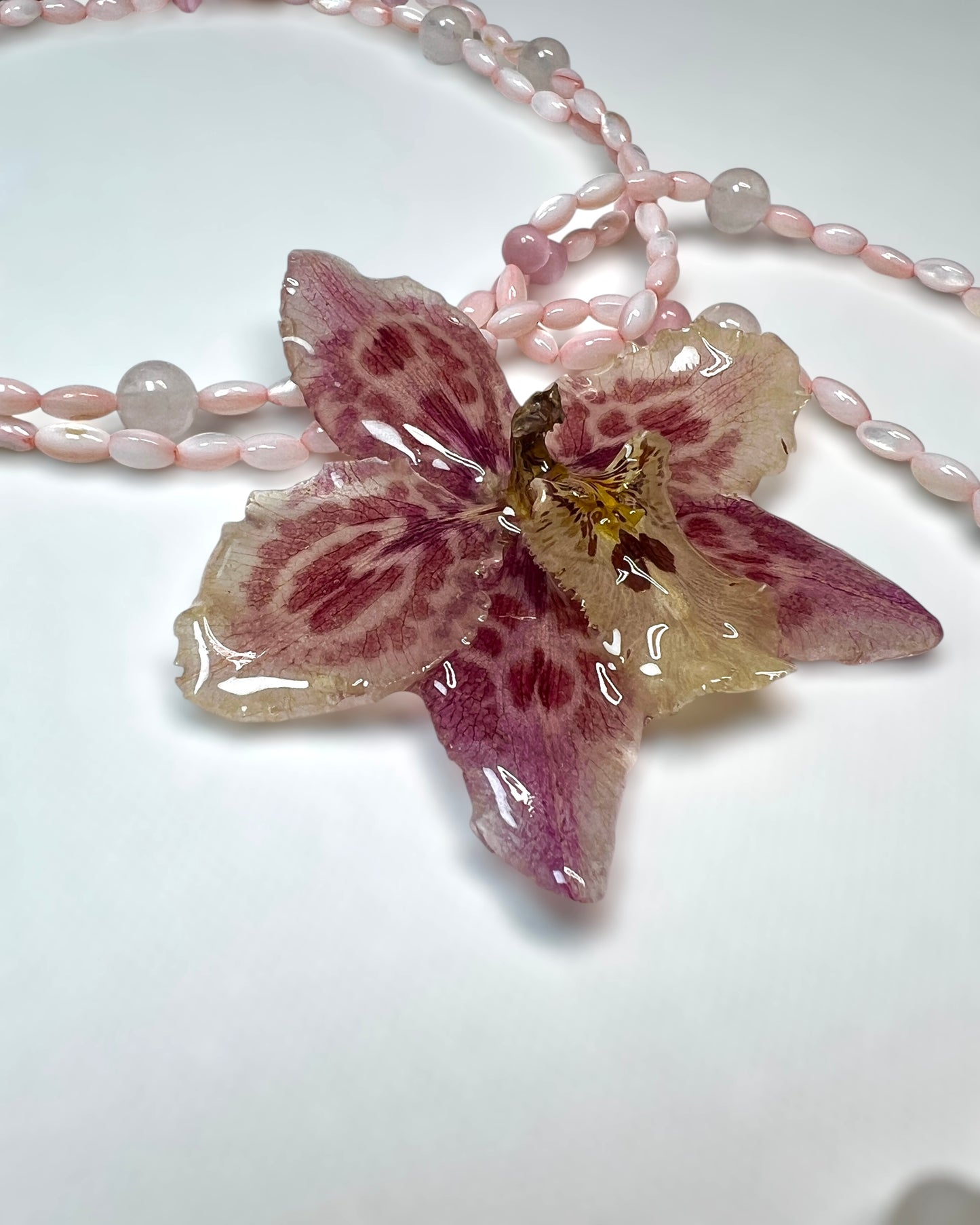 Blushmire Heirloom