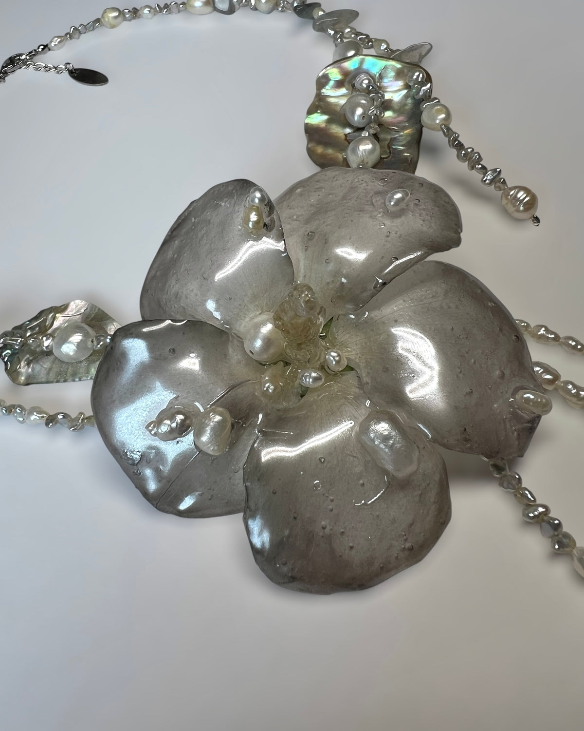Opal Fossil