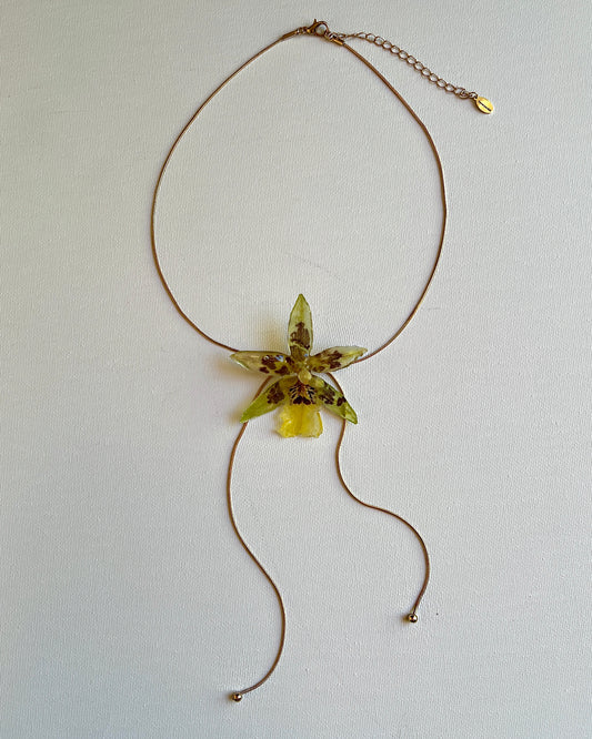 Honeythorn Testament