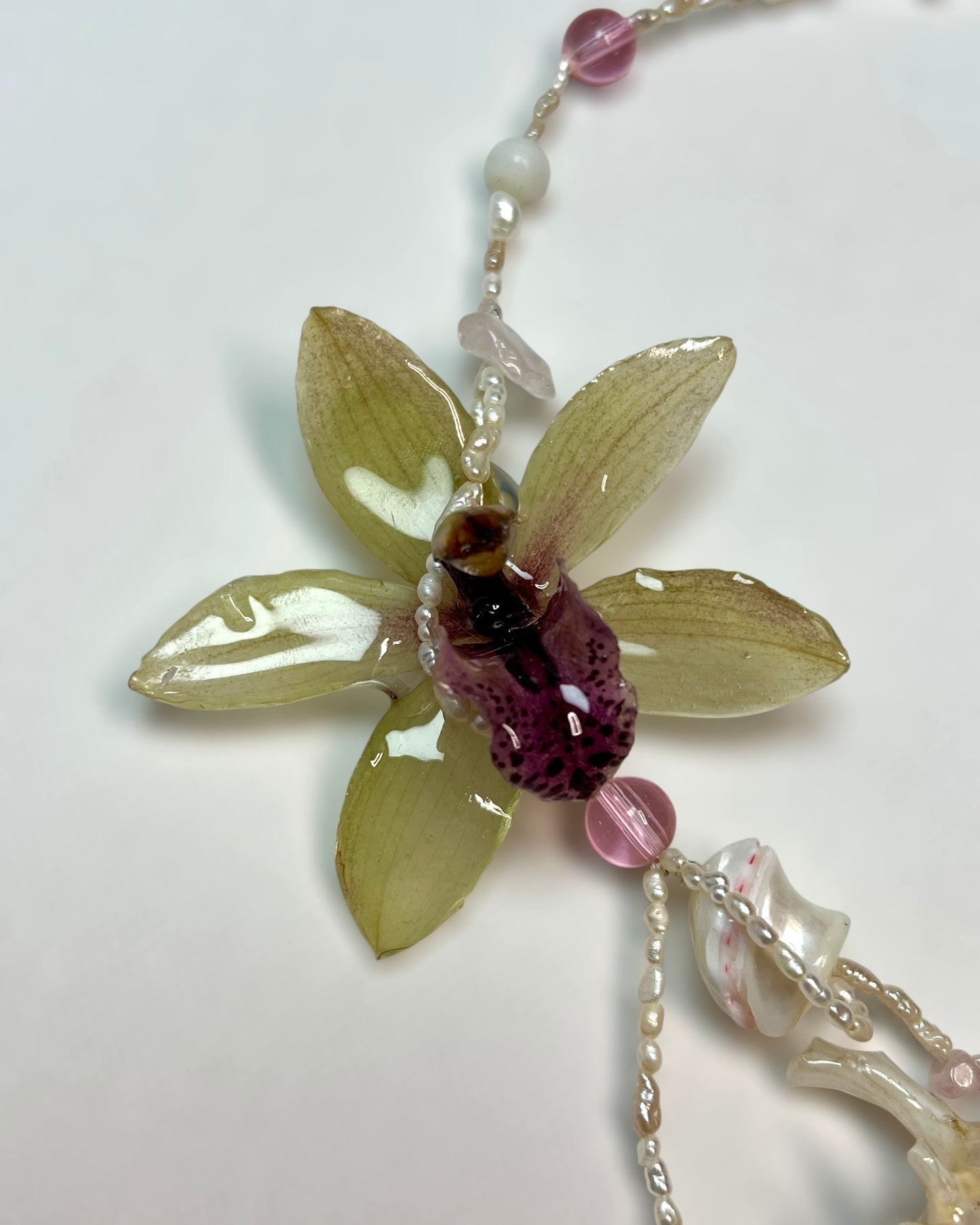 Mossblush Shell