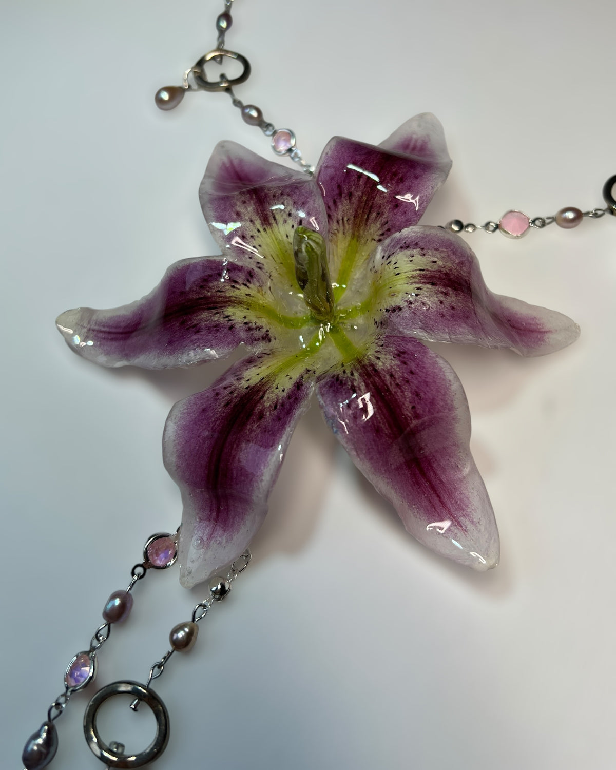 Daylily